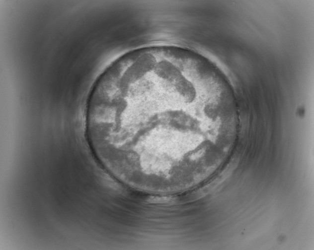 X0000103131415200809191930