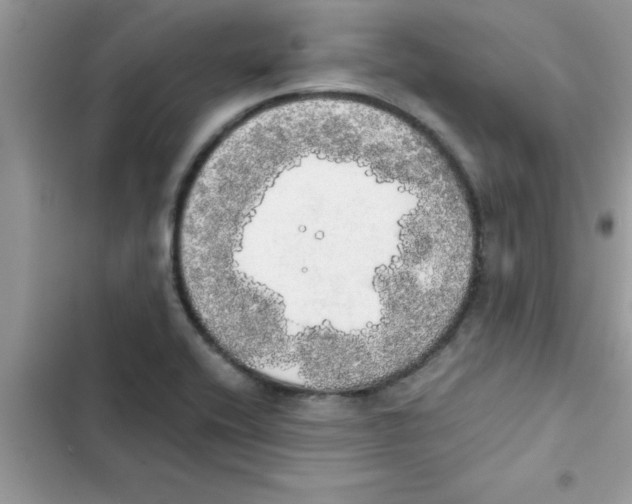 X0000103131416200809191930