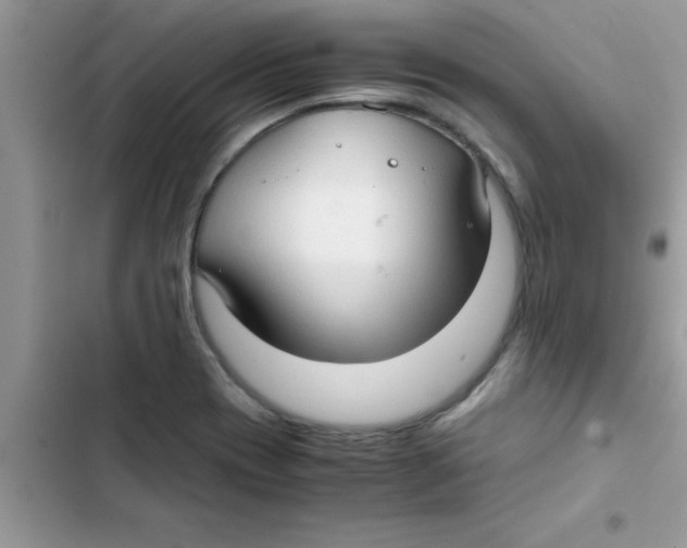 X0000103131417200809191930