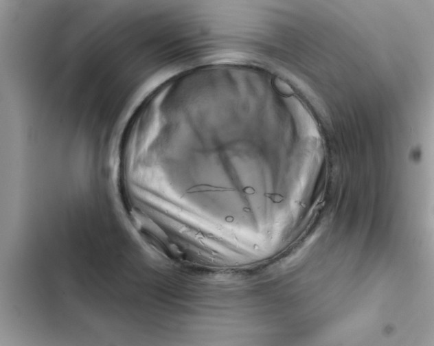 X0000103131418200809191930