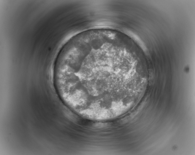 X0000103131419200809191930