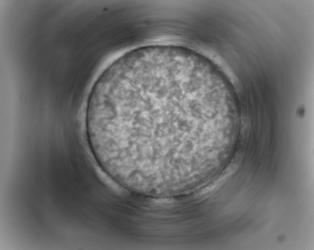 X0000103131421200809191930