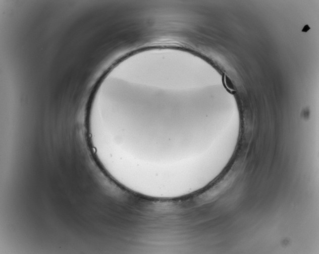 X0000103131422200809191930