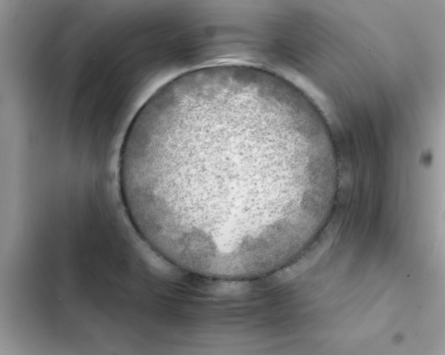 X0000103131423200809191930