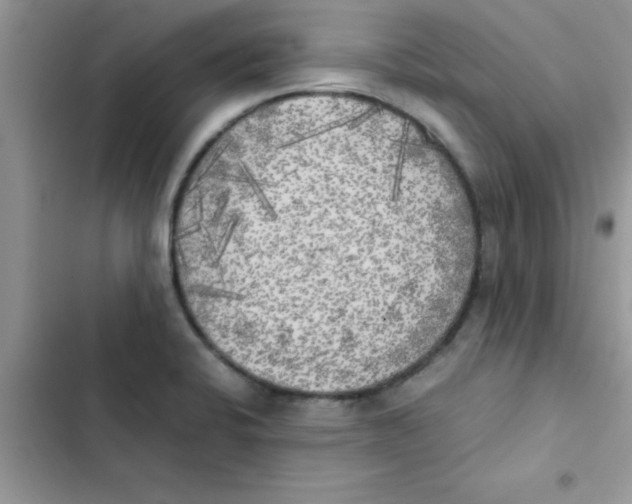 X0000103131424200809191930