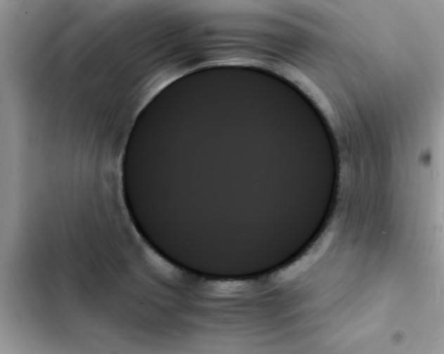 X0000103131425200809191930
