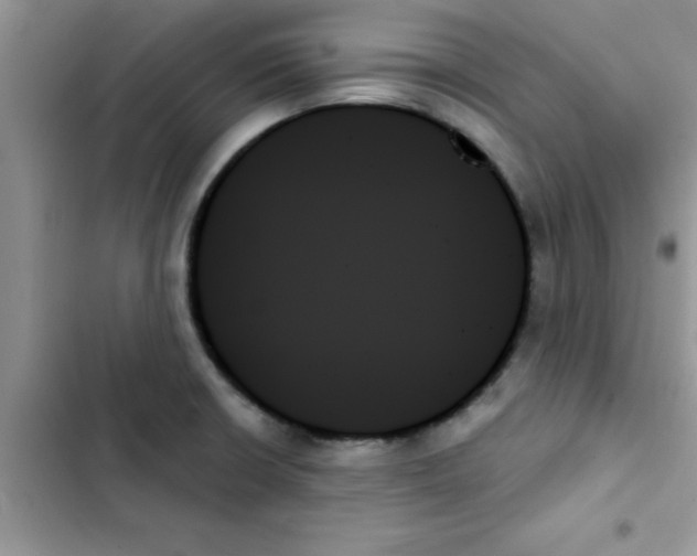 X0000103131426200809191930