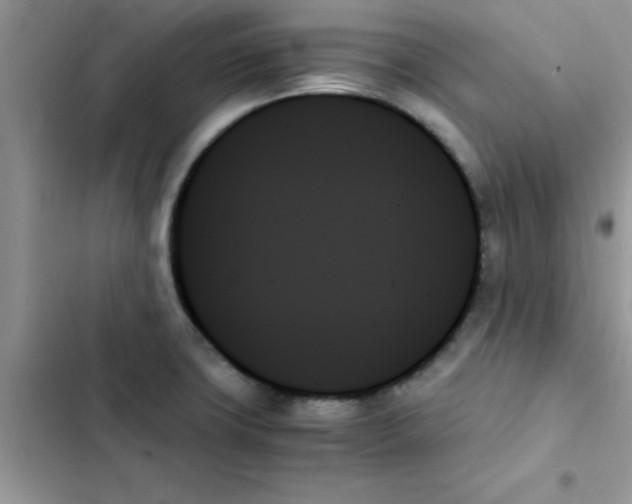 X0000103131427200809191930