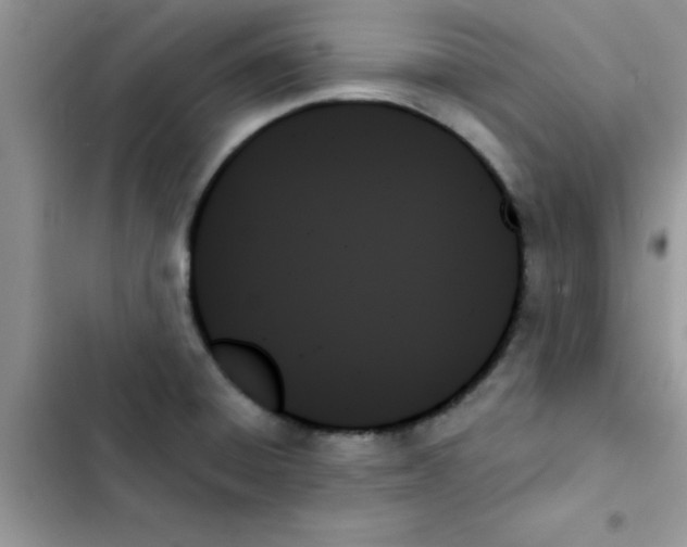 X0000103131428200809191930