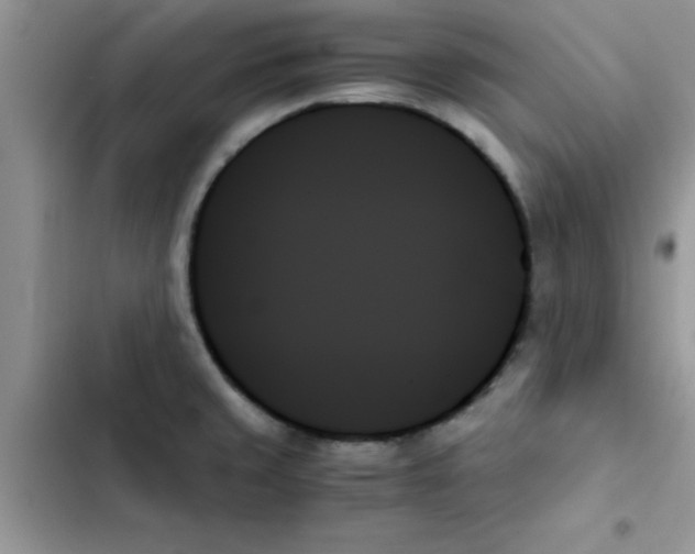 X0000103131429200809191930