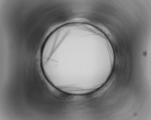X0000103131430200809191930