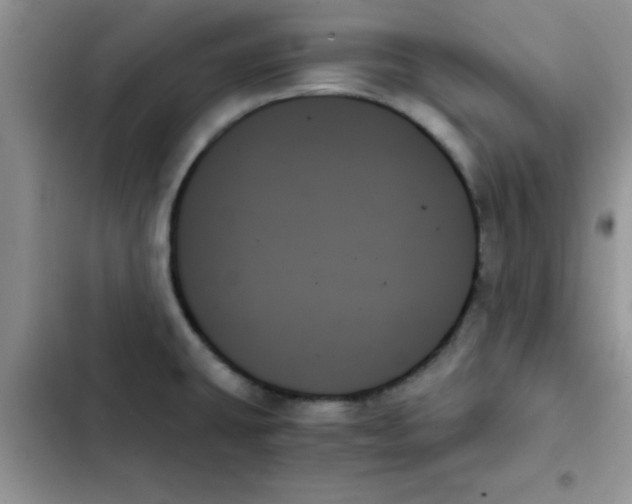 X0000103131431200809191930