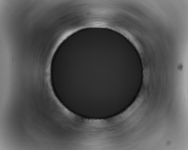 X0000103131432200809191930