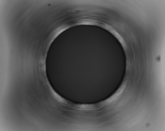 X0000103131433200809191930