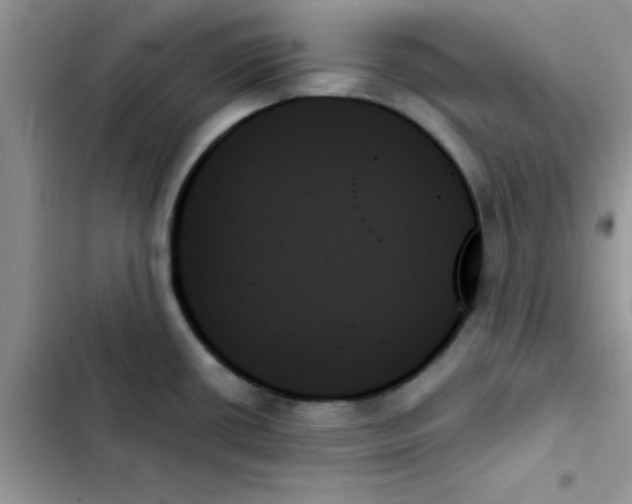 X0000103131434200809191930