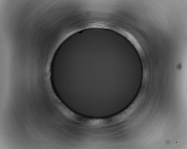 X0000103131435200809191930