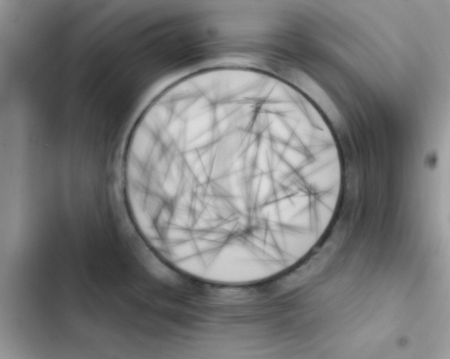 X0000103131436200809191930