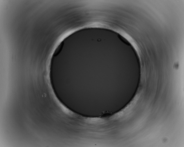 X0000103131437200809191930