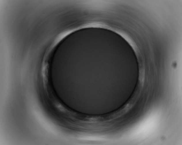 X0000103131438200809191931