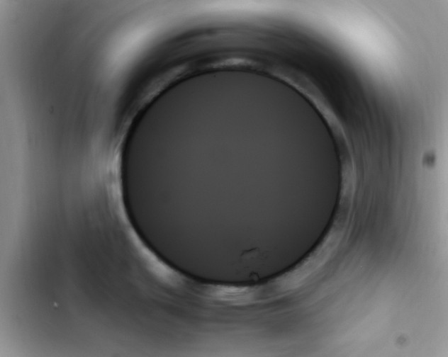 X0000103131439200809191931