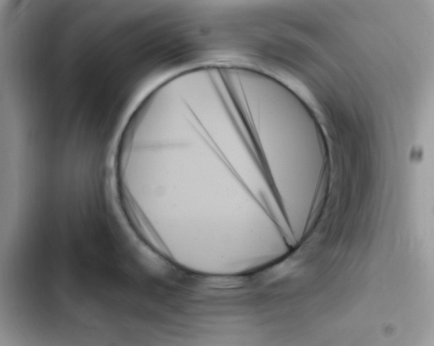X0000103131440200809191931