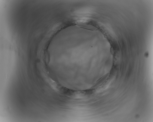 X0000103131441200809191930