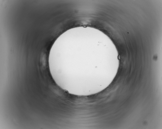 X0000103131442200809191930