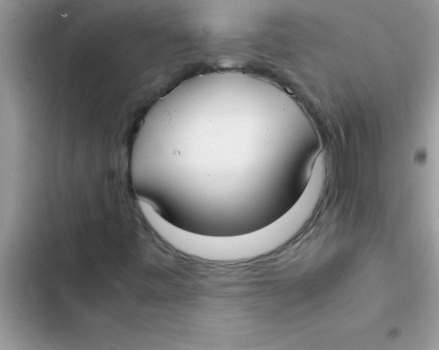 X0000103131443200809191930