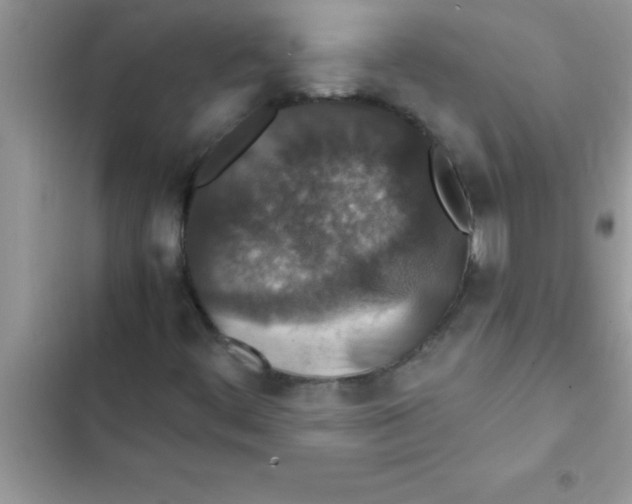 X0000103131444200809191930