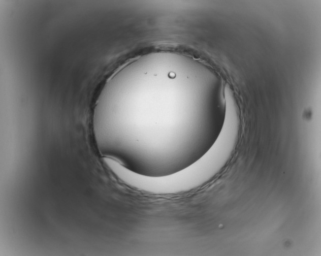 X0000103131445200809191930