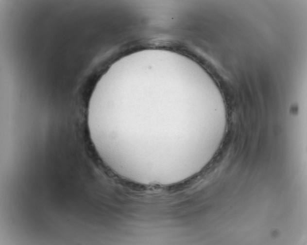 X0000103131447200809191930