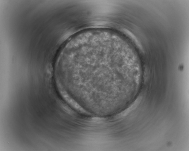 X0000103131449200809191930