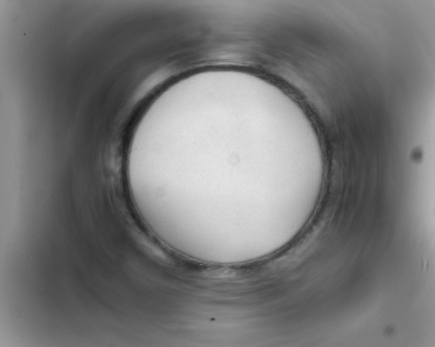 X0000103131450200809191930