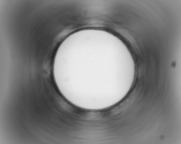 X0000103131451200809191930