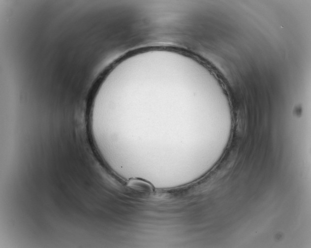 X0000103131452200809191930