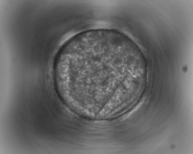 X0000103131453200809191930