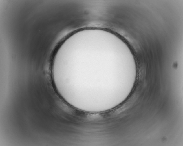 X0000103131454200809191930