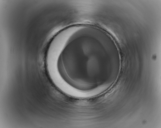 X0000103131455200809191930