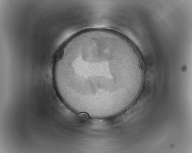 X0000103131456200809191930