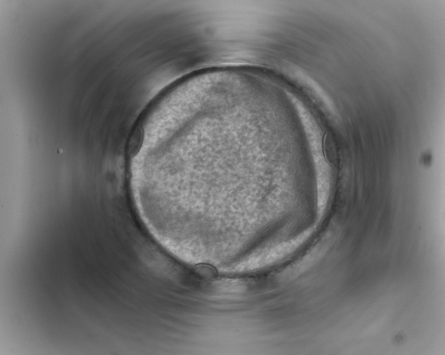 X0000103131457200809191930