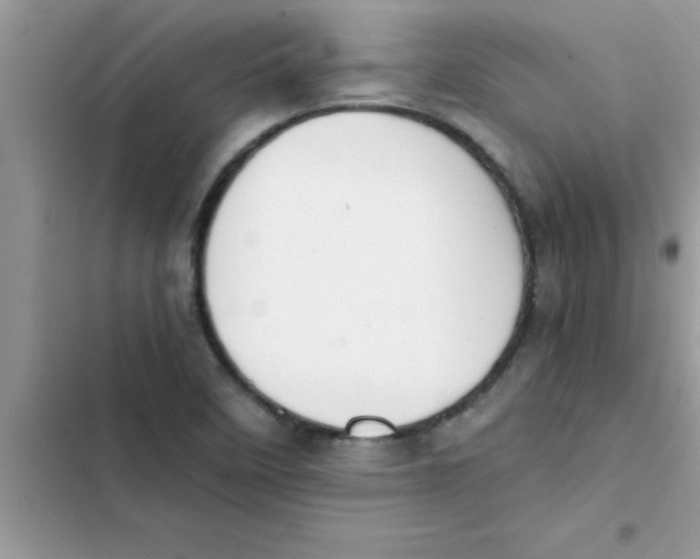 X0000103131458200809191930