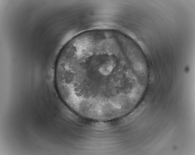 X0000103131459200809191930