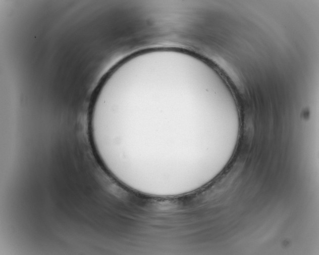 X0000103131460200809191930