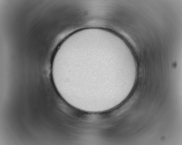 X0000103131461200809191930