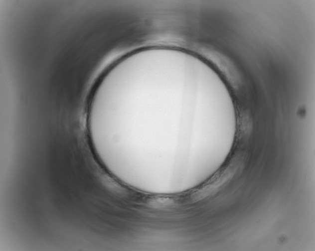 X0000103131462200809191930
