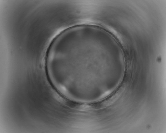 X0000103131463200809191930