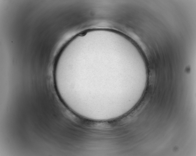 X0000103131464200809191930
