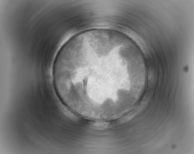 X0000103131466200809191930