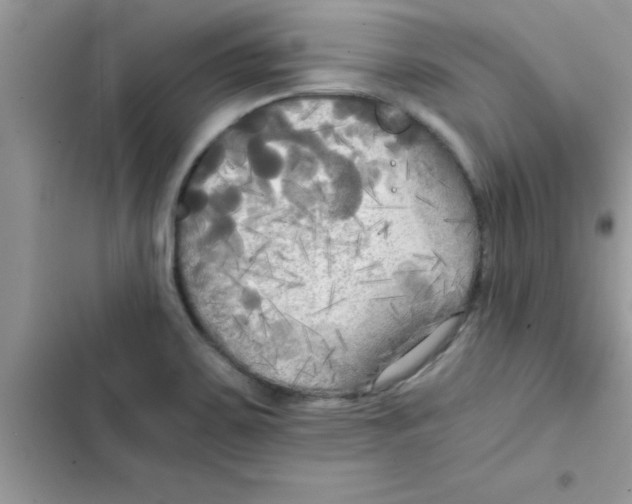 X0000103131467200809191930