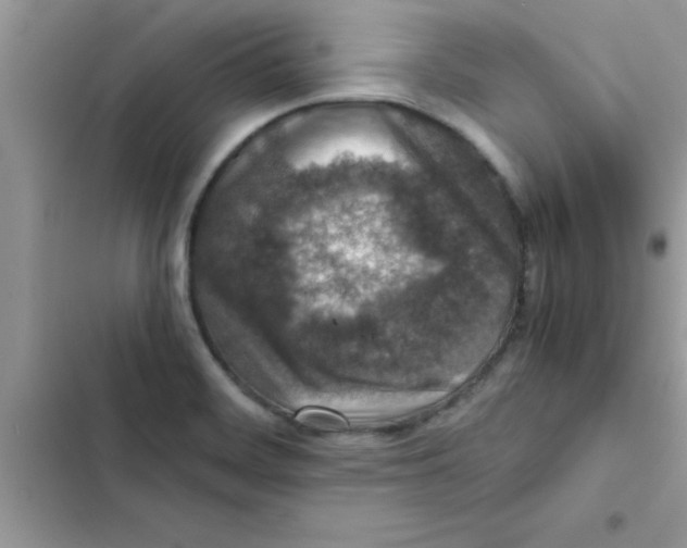 X0000103131468200809191930
